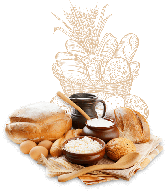 168体育官方入口食品